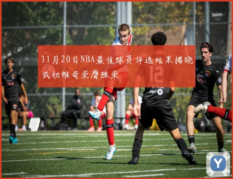 11月20日NBA最佳球员评选结果揭晓武切维奇荣膺殊荣