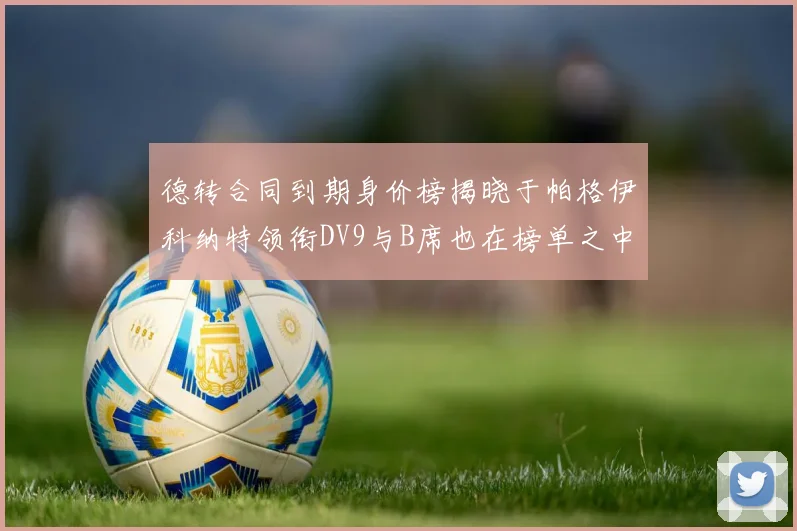德转合同到期身价榜揭晓于帕格伊科纳特领衔DV9与B席也在榜单之中