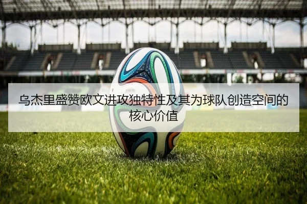 乌杰里盛赞欧文进攻独特性及其为球队创造空间的核心价值 - TIANBOSPORTS